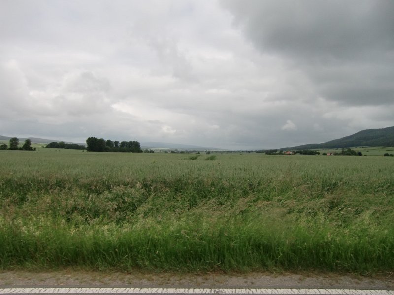 Devese 2010 046
